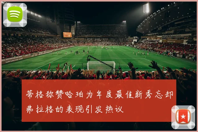 蒂格称赞哈珀为年度最佳新秀忘却弗拉格的表现引发热议