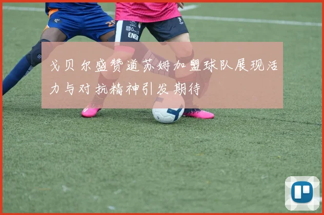 戈贝尔盛赞道苏姆加盟球队展现活力与对抗精神引发期待